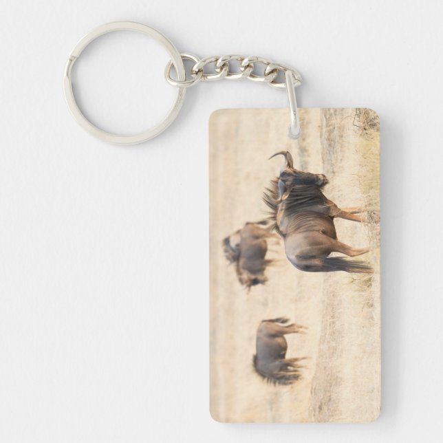 Group of wildebeest photo keychain (Front)