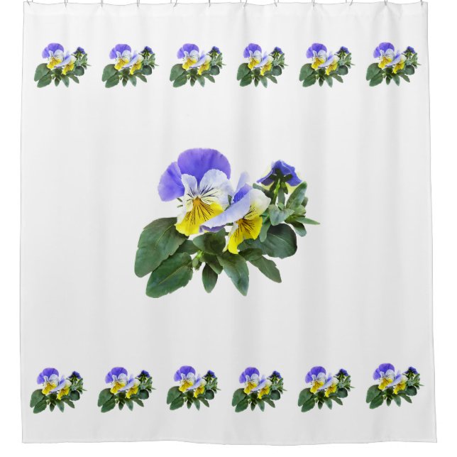 Group Of Yellow And Purple Pansies (Front)