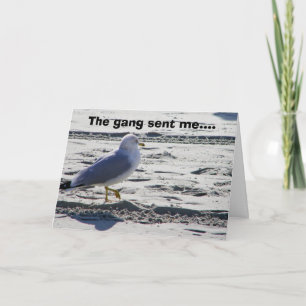 GROUP PARTY SEAGULL HUMOR-BIRTHDAY CARD