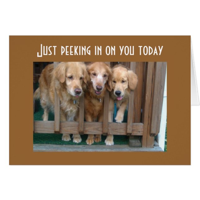 GROUP SAYS RUN AROUND CHASE TAIL (Front Horizontal)