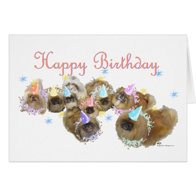 Groupe celebration de Pékin (Devant horizontal)