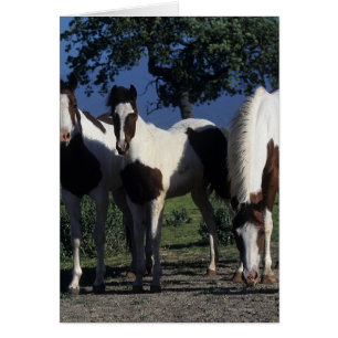 Groupe de chevaux de peinture