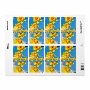 Groupe de Daffodils Médaille d'or Fleurs