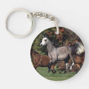 Groupe de fonctionnement arabe de chevaux