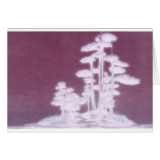 Groupe de pins de bonsaïs