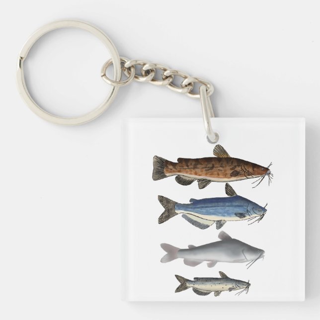 Groupe de poissons de l'Amérique du Nord (Devant)