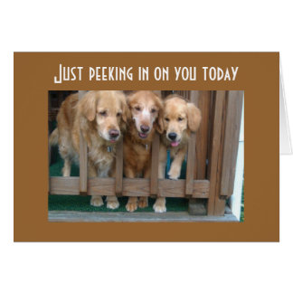 GROUPE DIT S'EXÉCUTER AUTOUR DE CHASE TAIL