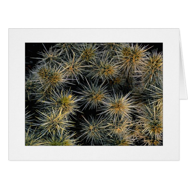 "Groupe Ouch" (Devant horizontal)