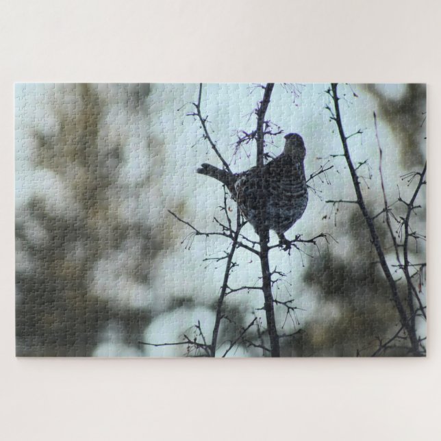 Groupement sur un puzzle nuageux (Horizontal)