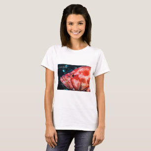 Grouper and Cleaner Shrimp T-Shirt