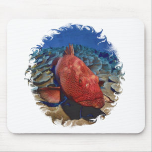 Grouper Fish On Coral Mouse Pad