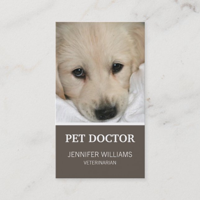 Groupon Dog Doctor Business Card (Front)