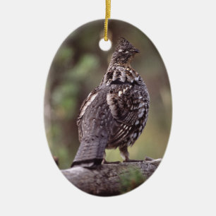 grouse ceramic ornament