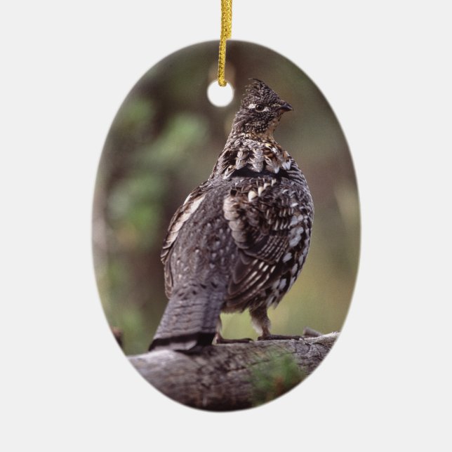 grouse ceramic ornament (Front)