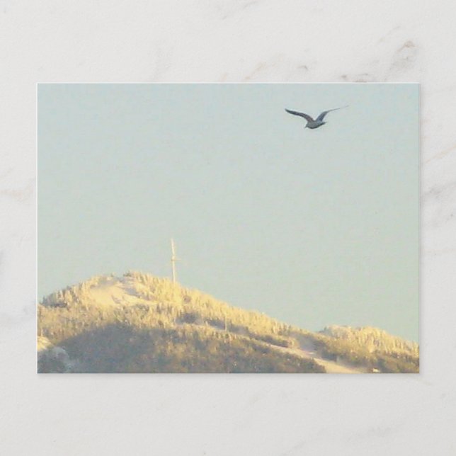 Grouse Mountain, carte postale de la Colombie-Brit (Devant)