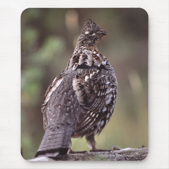 Grouse Mouse Pad (Front)