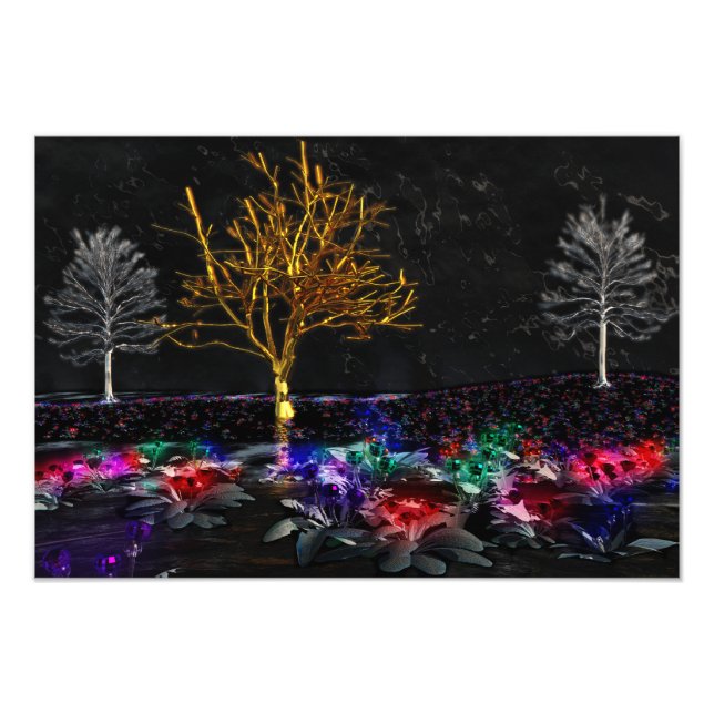 Grove of Living Gems Photo Print (Front)