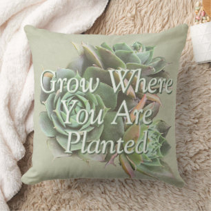 Grow Where you are planted Floral pillow