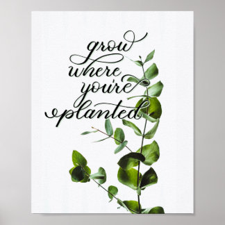"Grow Where You're Planted" Inspirational Quote Poster