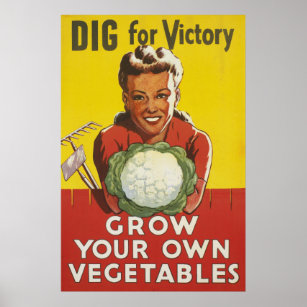 Grow Your  Own Food 24X36 WW1 Poster