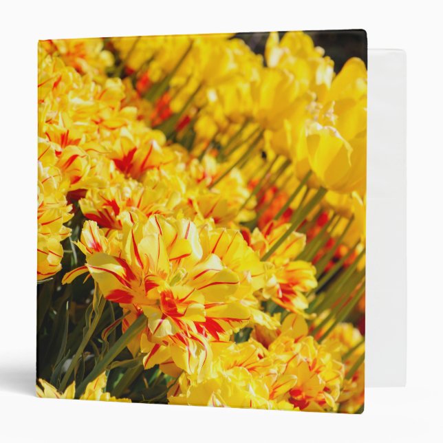 Growing in Gold  Binder (Front/Inside)