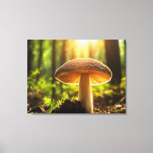 Growing mushrooms in forest canvas print (Front)