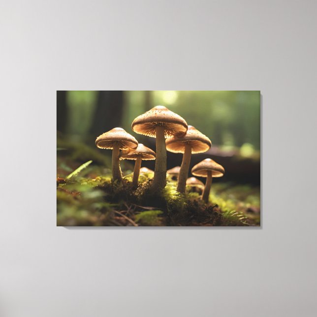 Growing mushrooms in forest canvas print (Front)