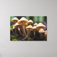 Growing mushrooms in forest