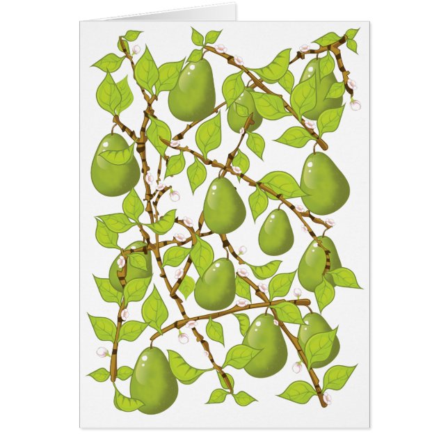 Growing Pears (Front)