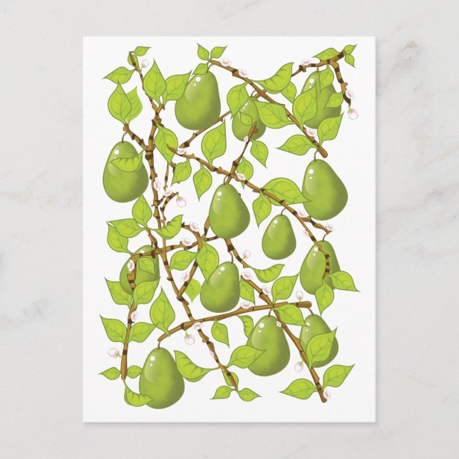 Growing Pears Postcard (Front)