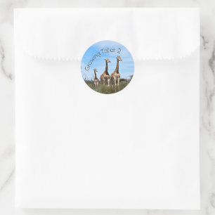 Growing Tall Safari Accent Classic Round Sticker