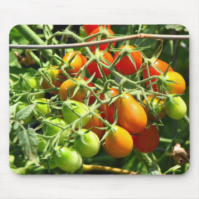 Growing Tomatoes Mouse Pad (Front)