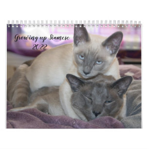 Growing up Siamese Calendar