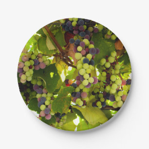 Growing Wine Paper Plate