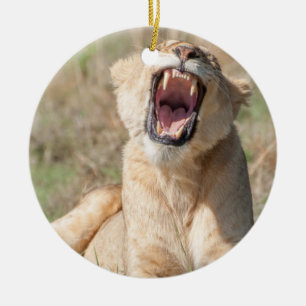 Growling Lioness Ceramic Ornament