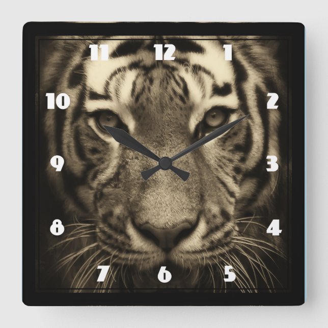 Growling Tiger Face in Sepia Tones Square Wall Clock (Front)