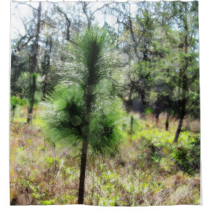 Growth 2718 Pine Tree 