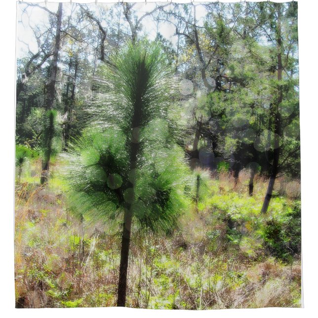 Growth 2718 Pine Tree  (Front)