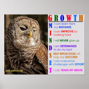 Growth Mindset Owl Poster