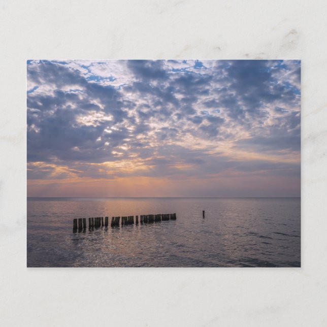 Groyne on shore of the Baltic Sea Postcard (Front)