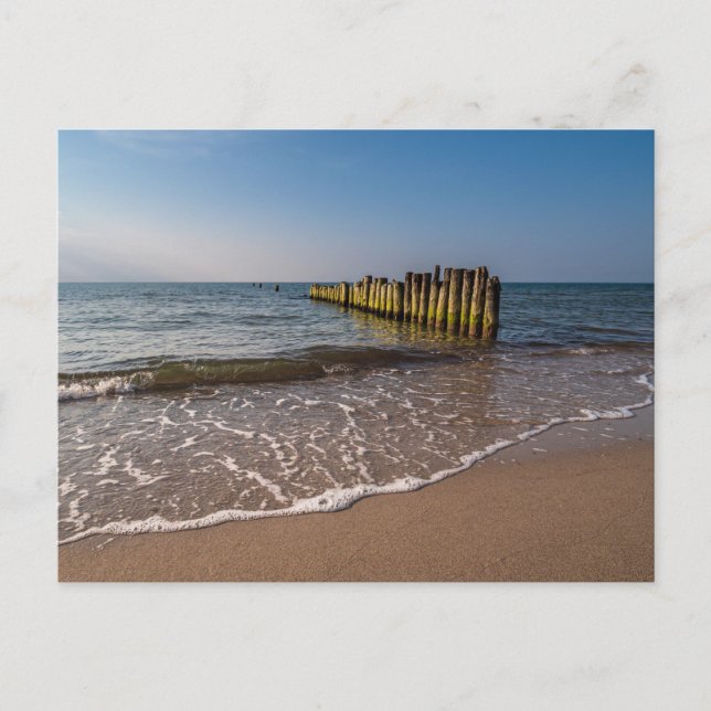 Groynes on shore of the Baltic Sea Postcard (Front)