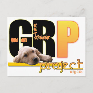 GRP - GOLDEN RETRIEVER PROJECT - WAY COOL! POSTCARD