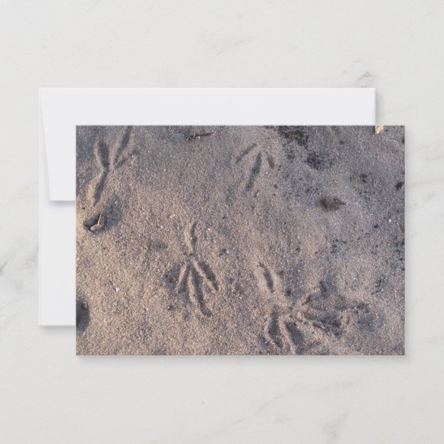 Grue de sable dans le sable sur une carte (Devant)