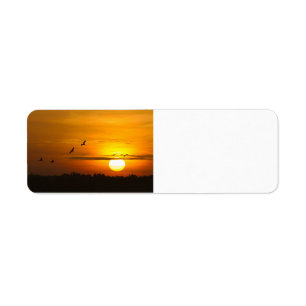 Grues au lever du soleil