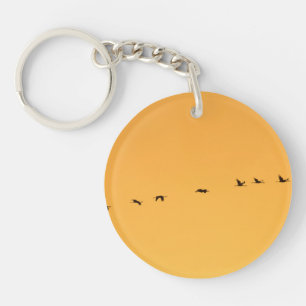 Grues au lever du soleil