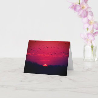 Grues de Sandhill au coucher du soleil carte pour 