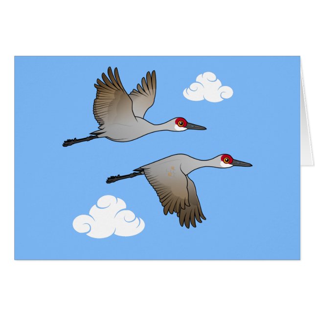 Grues de Sandhill en vol (Devant horizontal)