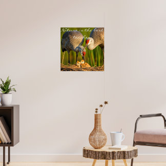 Grues du Canada prenant soin de leurs jeunes" Déco