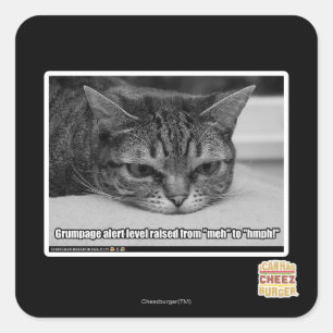 Grumpage Alert Square Sticker