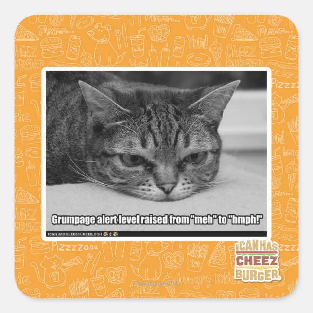 Grumpage Alert Square Sticker (Front)